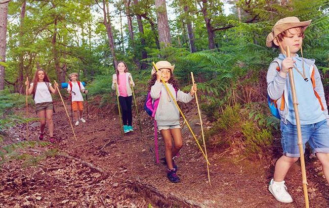 School children hiking through a forest